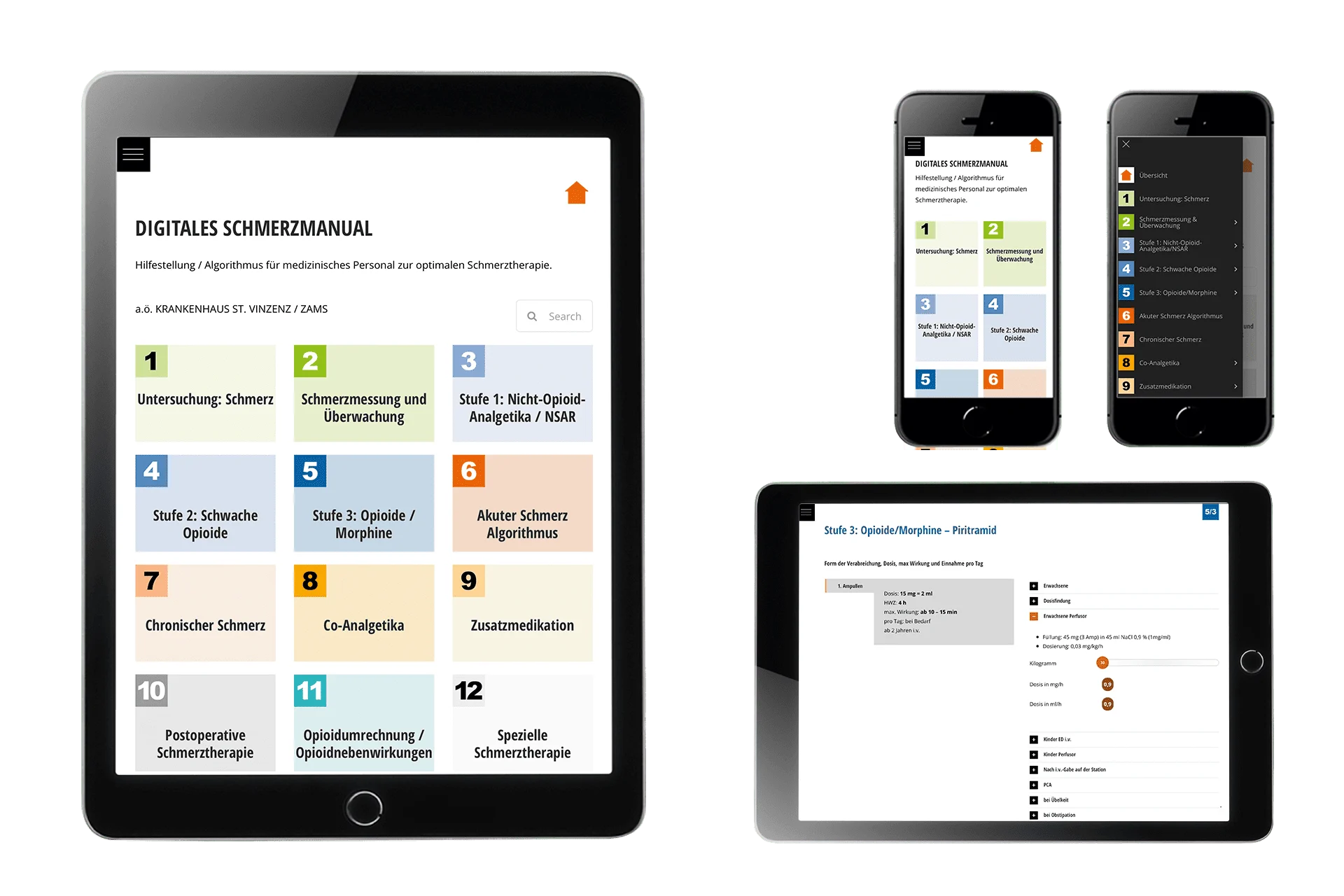 Digitale Anwendung zur Schmerztherapie - Digipain.app