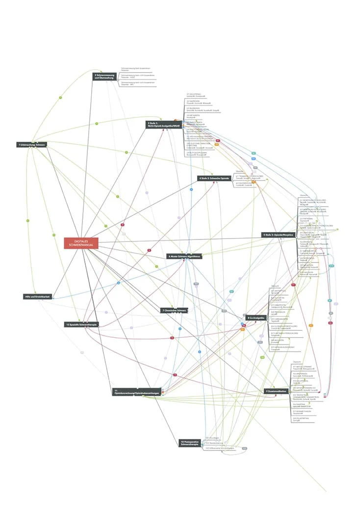 Digitale Anwendung zur Schmerztherapie - Digipain.app
